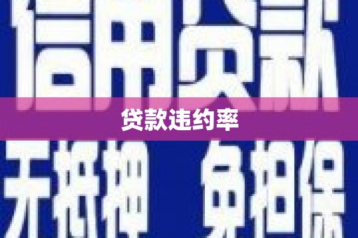 兴化贷款违约率