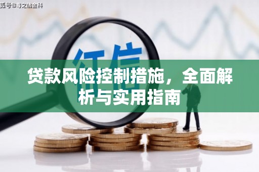 兴化贷款风险控制措施，全面解析与实用指南