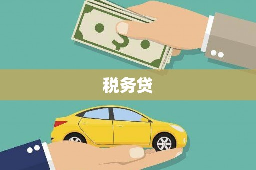 兴化税务贷