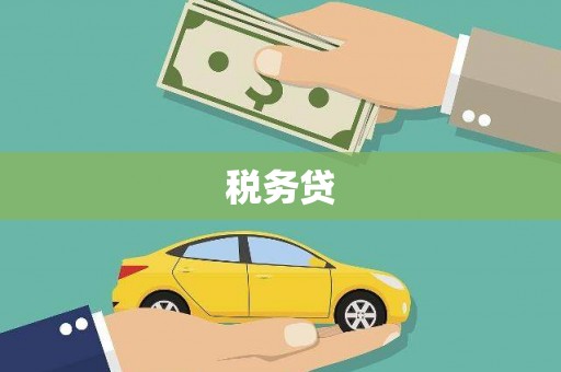 兴化税务贷