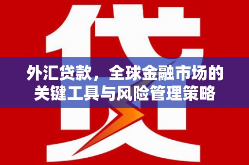 兴化外汇贷款，全球金融市场的关键工具与风险管理策略