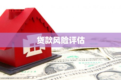 兴化贷款风险评估
