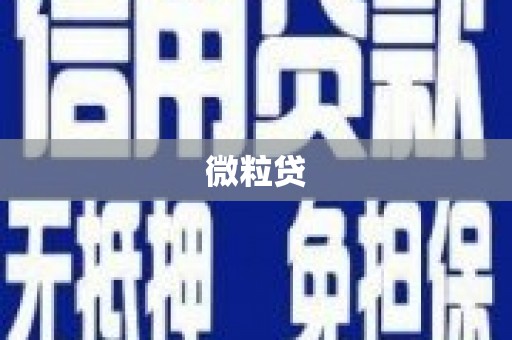 兴化微粒贷