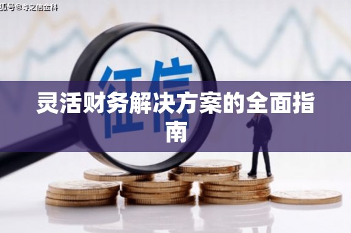 兴化灵活财务解决方案的全面指南
