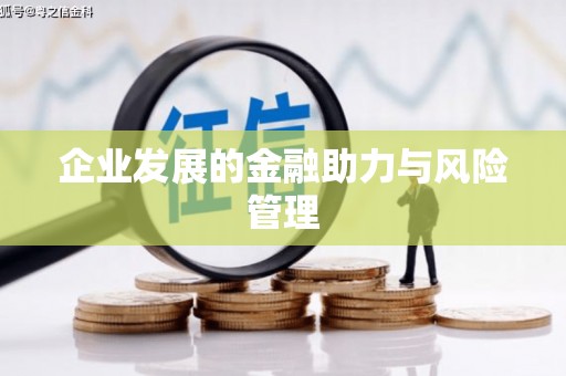 兴化企业发展的金融助力与风险管理