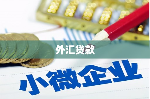兴化外汇贷款