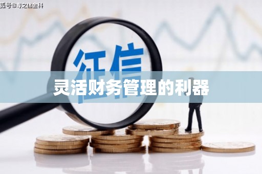 兴化灵活财务管理的利器