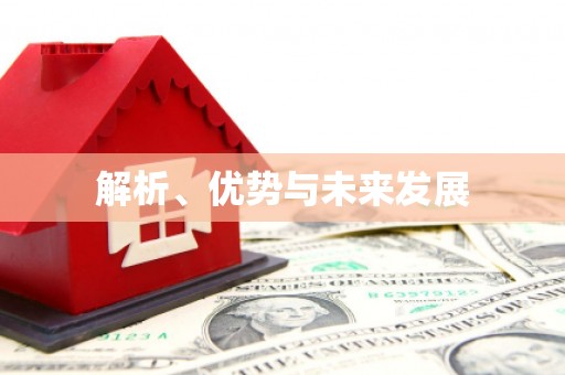 兴化解析、优势与未来发展