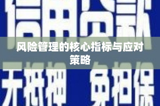 兴化风险管理的核心指标与应对策略