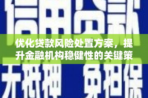 兴化优化贷款风险处置方案，提升金融机构稳健性的关键策略
