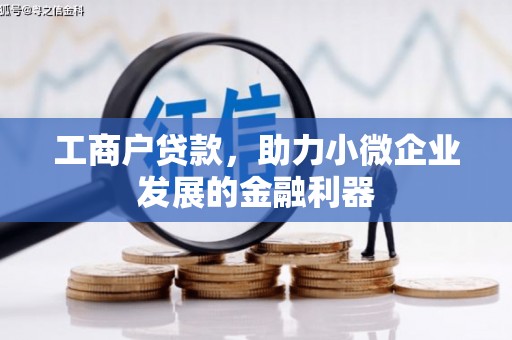 兴化工商户贷款，助力小微企业发展的金融利器
