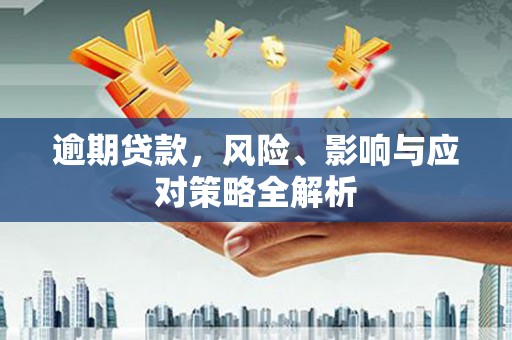 兴化逾期贷款，风险、影响与应对策略全解析