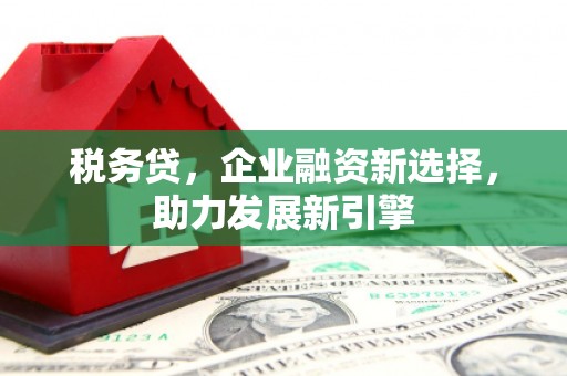 兴化税务贷，企业融资新选择，助力发展新引擎