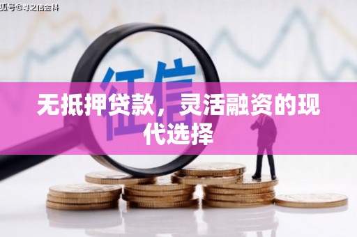 兴化无抵押贷款，灵活融资的现代选择