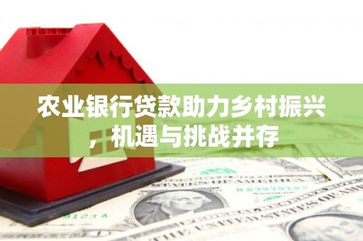 兴化农业银行贷款助力乡村振兴，机遇与挑战并存