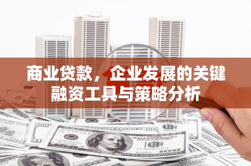 兴化商业贷款，企业发展的关键融资工具与策略分析