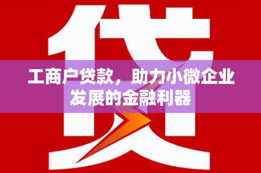 兴化工商户贷款，助力小微企业发展的金融利器