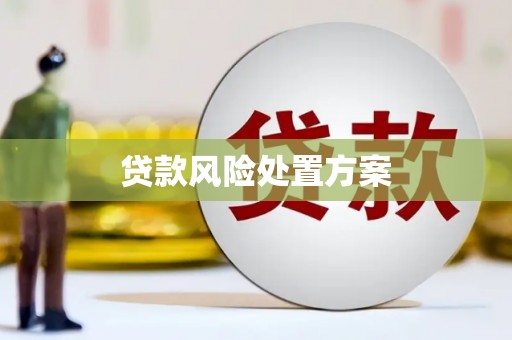兴化贷款风险处置方案