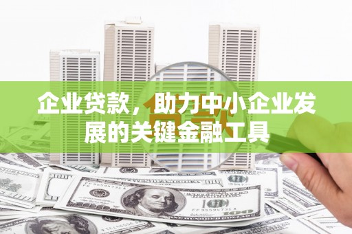 兴化企业贷款，助力中小企业发展的关键金融工具
