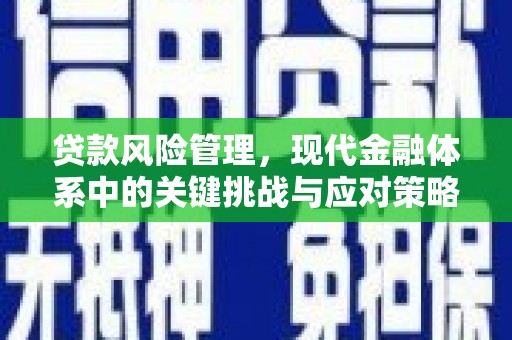 兴化贷款风险管理，现代金融体系中的关键挑战与应对策略