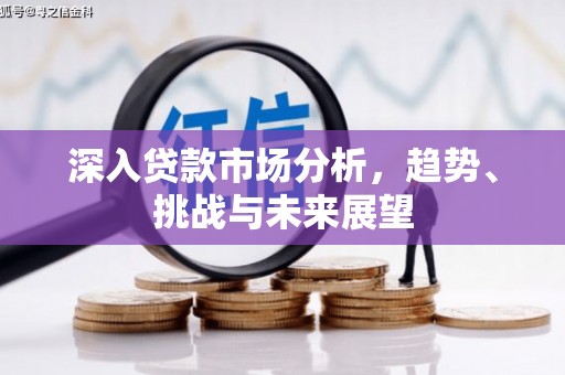 兴化深入贷款市场分析，趋势、挑战与未来展望