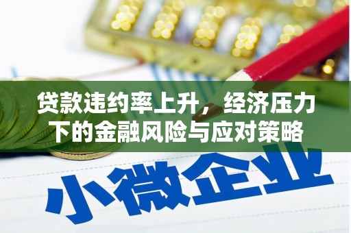 兴化贷款违约率上升，经济压力下的金融风险与应对策略