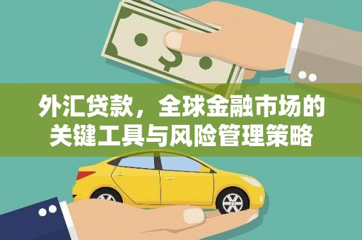 兴化外汇贷款，全球金融市场的关键工具与风险管理策略
