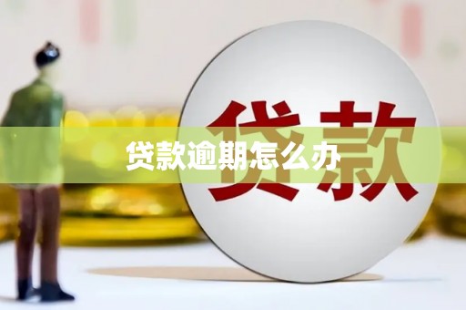 兴化贷款逾期怎么办