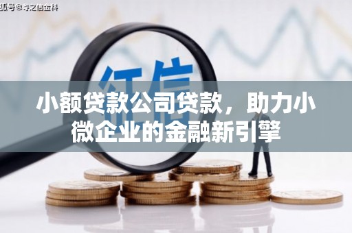 兴化小额贷款公司贷款，助力小微企业的金融新引擎