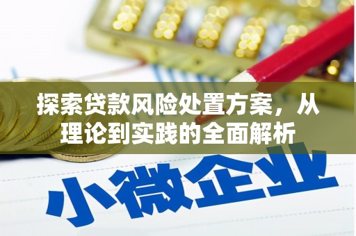 兴化探索贷款风险处置方案，从理论到实践的全面解析