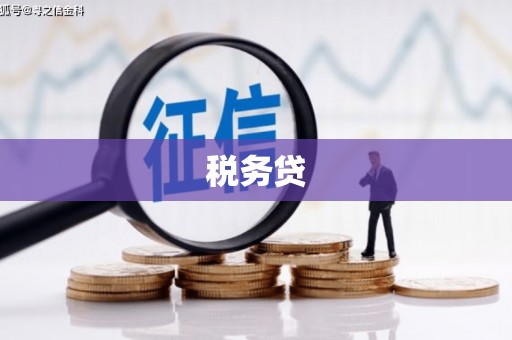 兴化税务贷