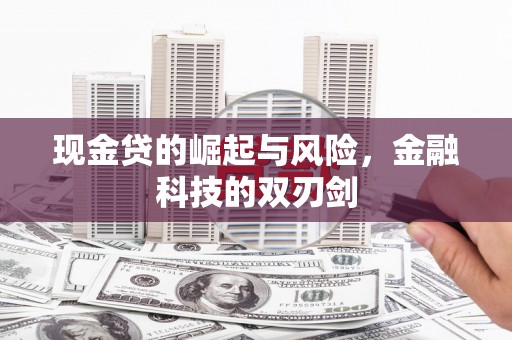 兴化现金贷的崛起与风险，金融科技的双刃剑
