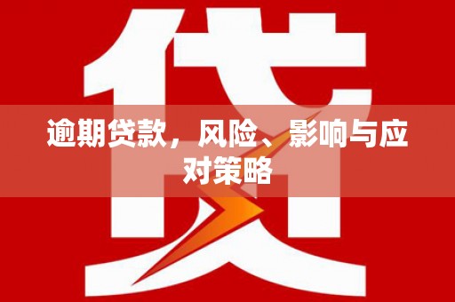 兴化逾期贷款，风险、影响与应对策略