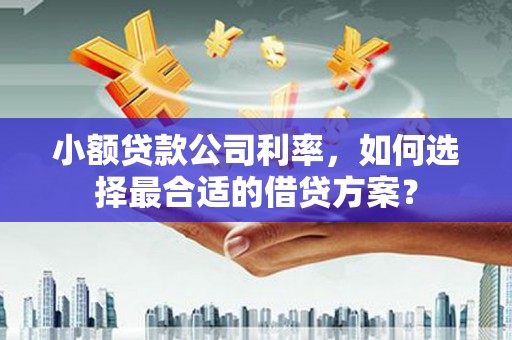 兴化小额贷款公司利率，如何选择最合适的借贷方案？