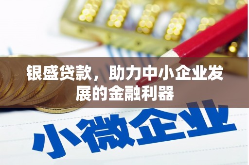兴化银盛贷款，助力中小企业发展的金融利器