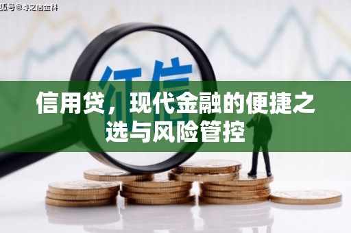兴化信用贷，现代金融的便捷之选与风险管控