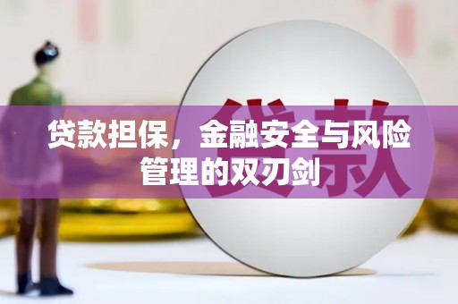 兴化贷款担保，金融安全与风险管理的双刃剑