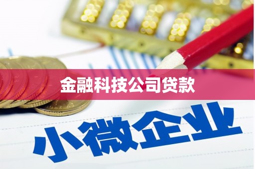兴化金融科技公司贷款