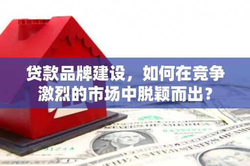 兴化贷款品牌建设，如何在竞争激烈的市场中脱颖而出？