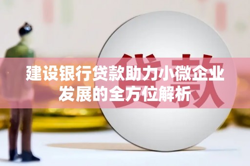 兴化建设银行贷款助力小微企业发展的全方位解析