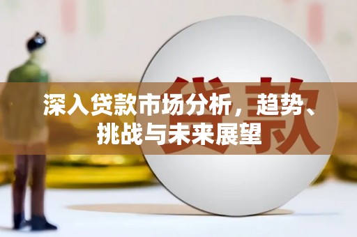 兴化深入贷款市场分析，趋势、挑战与未来展望