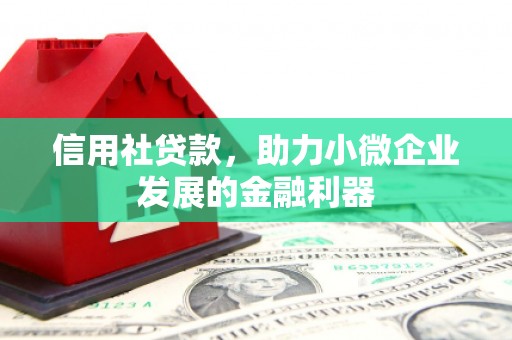 兴化信用社贷款，助力小微企业发展的金融利器