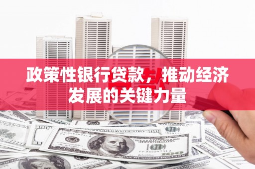 兴化政策性银行贷款，推动经济发展的关键力量