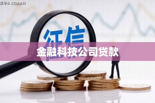 兴化金融科技公司贷款