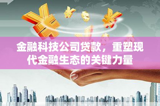 兴化金融科技公司贷款，重塑现代金融生态的关键力量