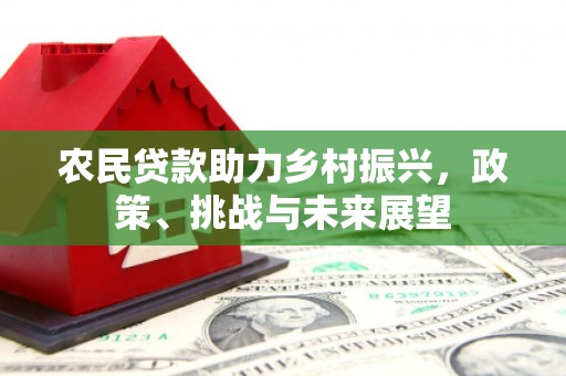 兴化农民贷款助力乡村振兴，政策、挑战与未来展望