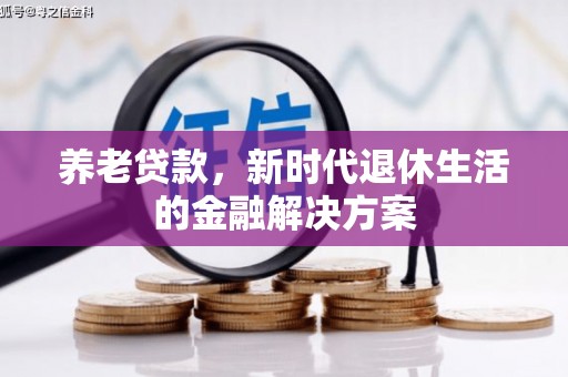 兴化养老贷款，新时代退休生活的金融解决方案