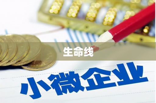 兴化生命线
