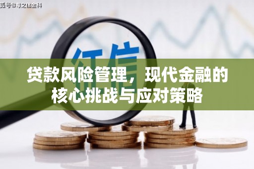 兴化贷款风险管理，现代金融的核心挑战与应对策略