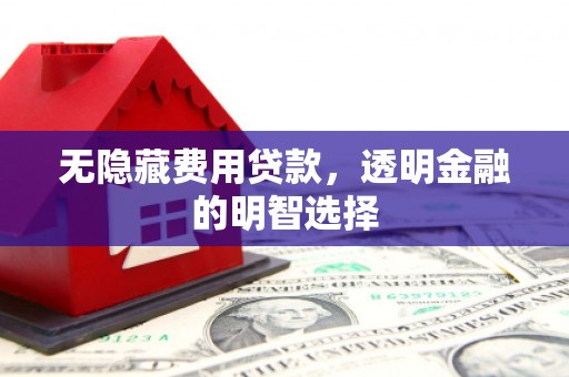 兴化无隐藏费用贷款，透明金融的明智选择
